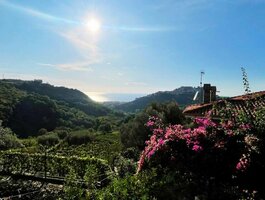 Parduodamas namas Italijoje, Belvedere Marittimo