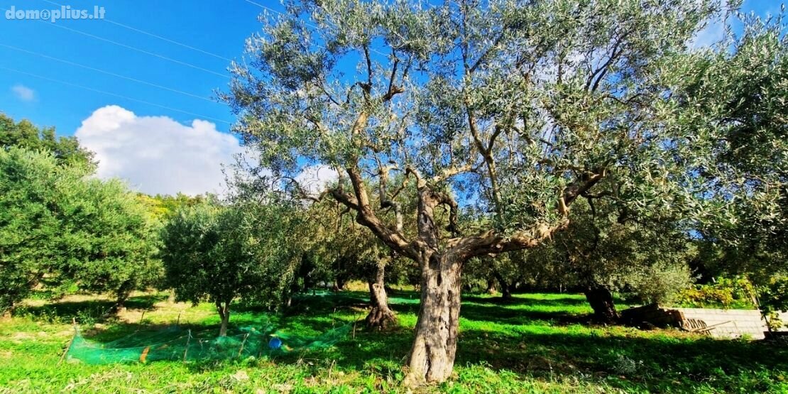 Parduodamas namas Italijoje, Kita