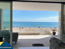 Дом Испания, Torrevieja