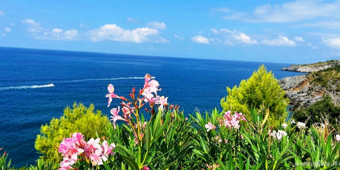Parduodamas namas Italijoje, Scalea