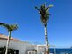 Parduodamas namas Ispanijoje, Tenerife (22 nuotrauka)