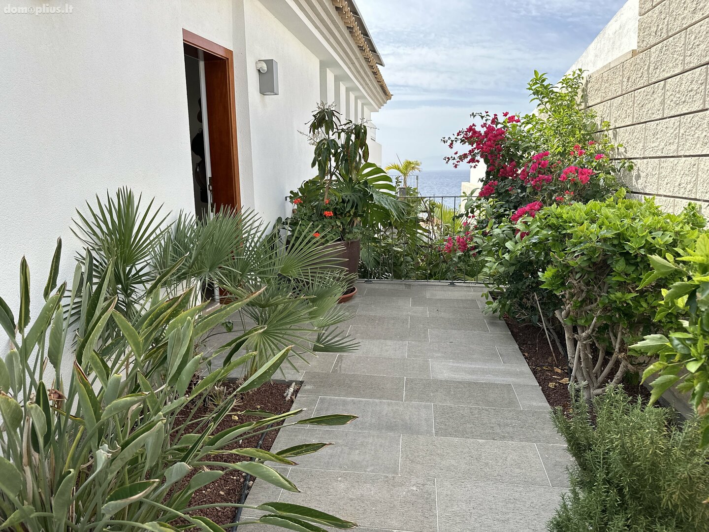Дом Испания, Tenerife