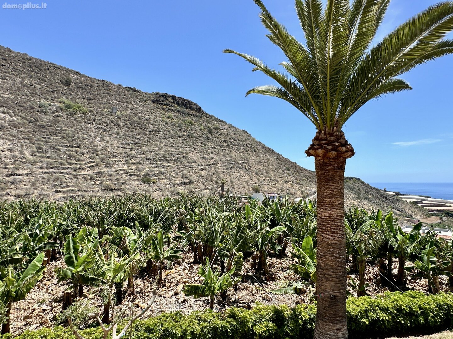 Parduodamas namas Ispanijoje, Tenerife