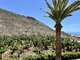 Parduodamas namas Ispanijoje, Tenerife (11 nuotrauka)
