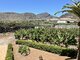 Parduodamas namas Ispanijoje, Tenerife (16 nuotrauka)