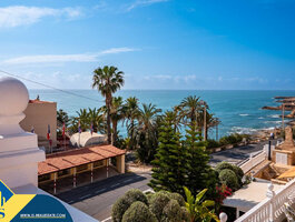 Дом Испания, Torrevieja
