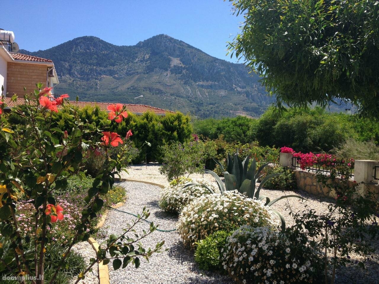 Parduodamas namas Kipre, Kyrenia