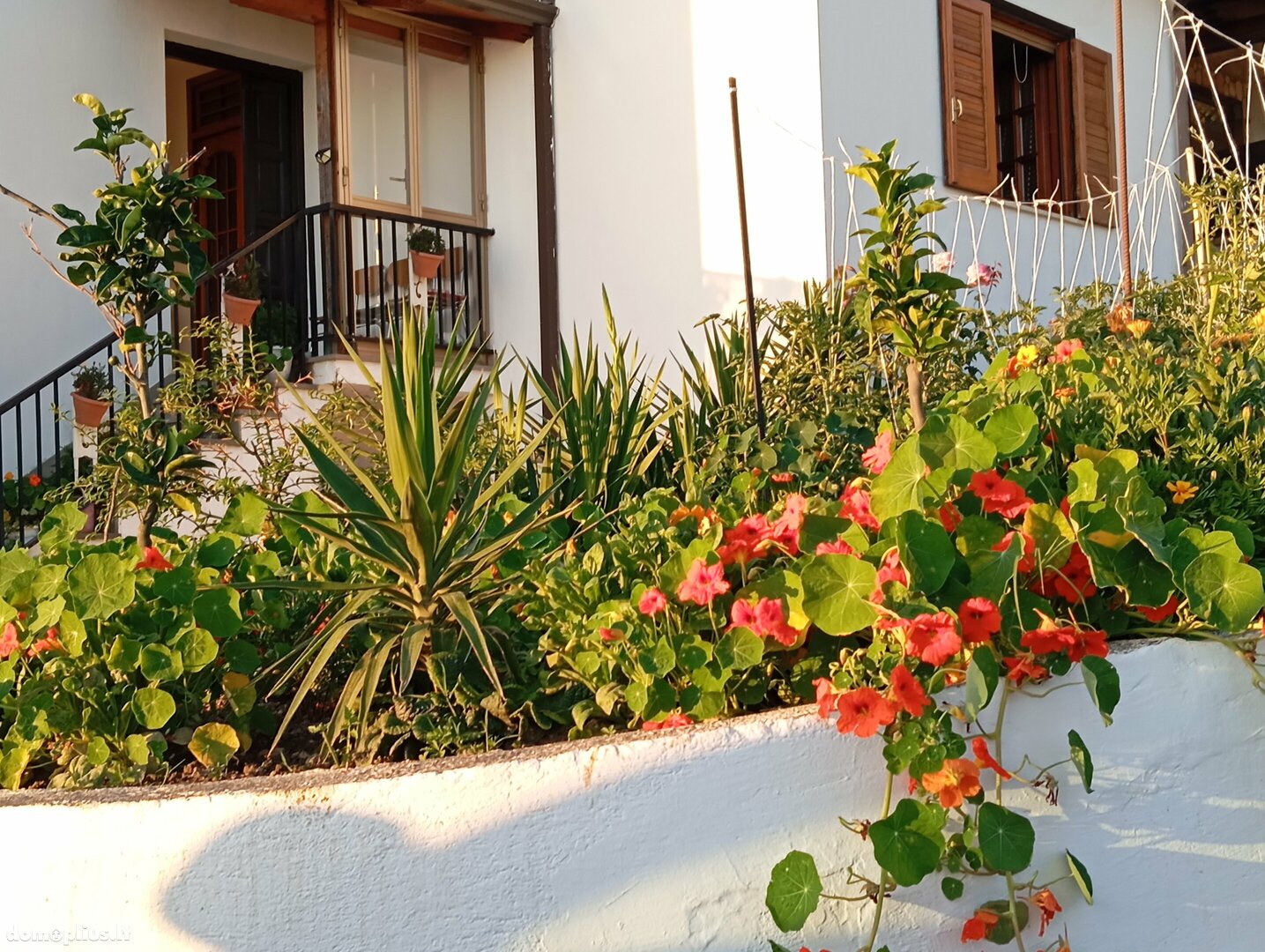 Parduodamas namas Italijoje, Belvedere Marittimo