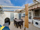 Дом Испания, Torrevieja (17 Фотография)