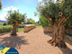 House for sell Spain, Ibiza (4 picture)