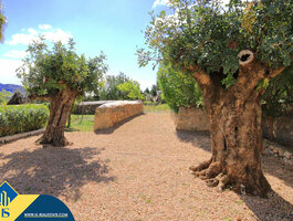 House for sell Spain, Ibiza
