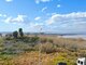 Дом Испания, Torrevieja (12 Фотография)