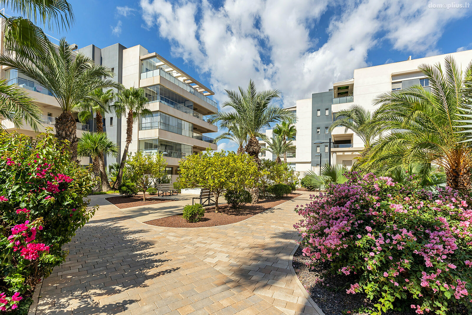 Дом Испания, Orihuela Costa