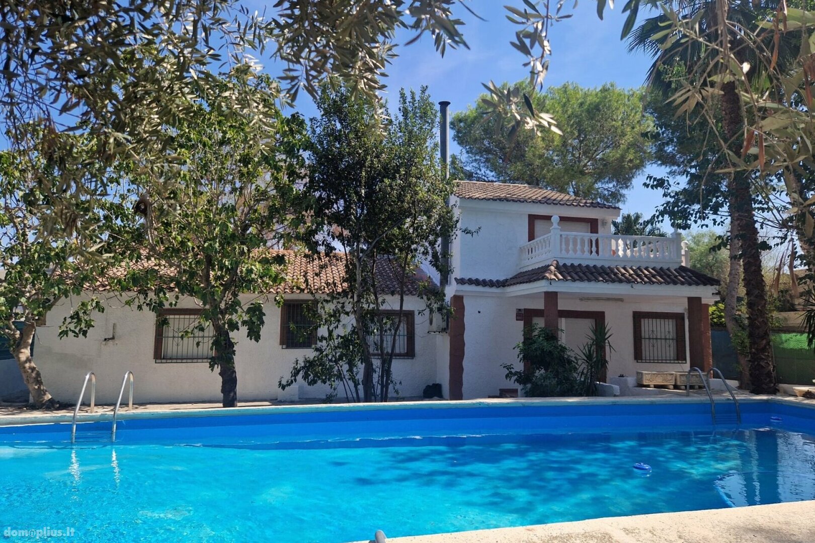 Дом Испания, Orihuela