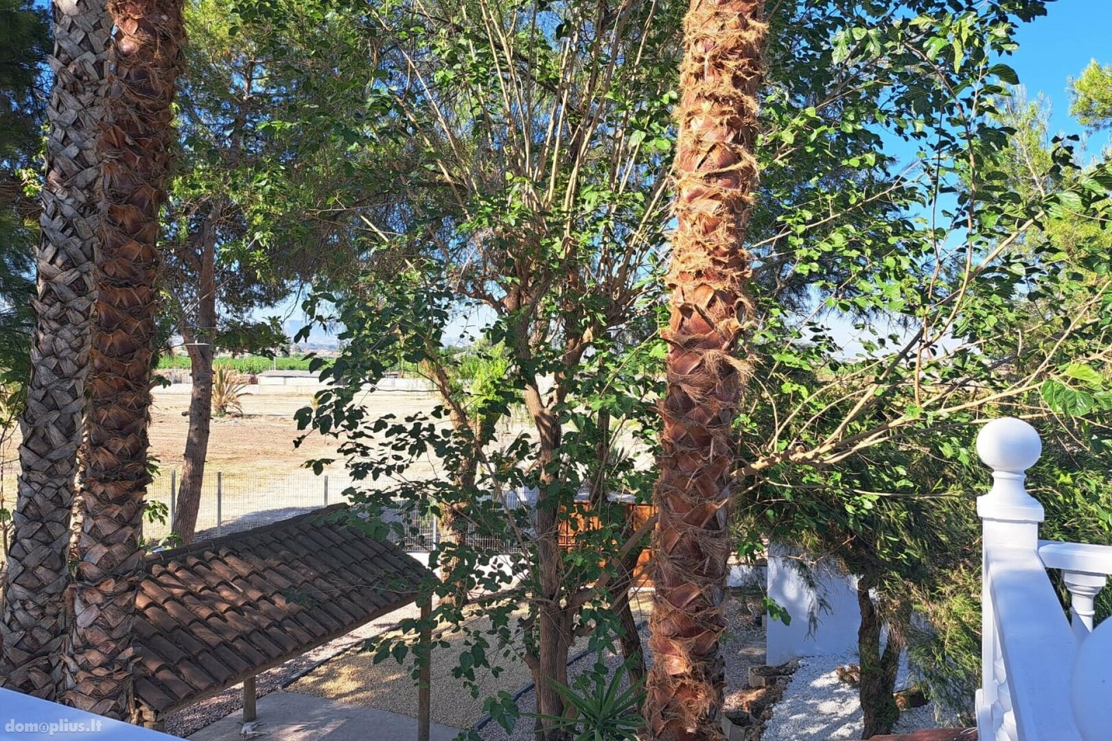 Parduodamas namas Ispanijoje, Orihuela