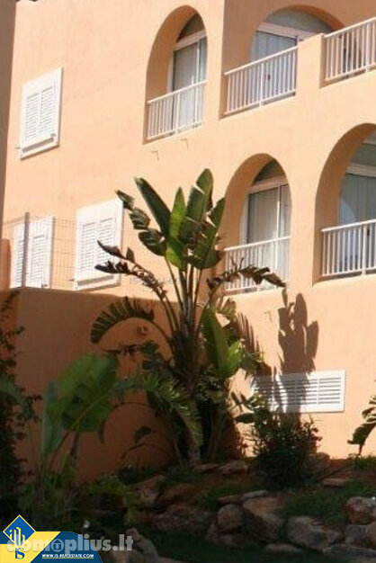 Дом Испания, Ibiza