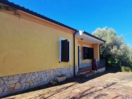 House Italy, Other