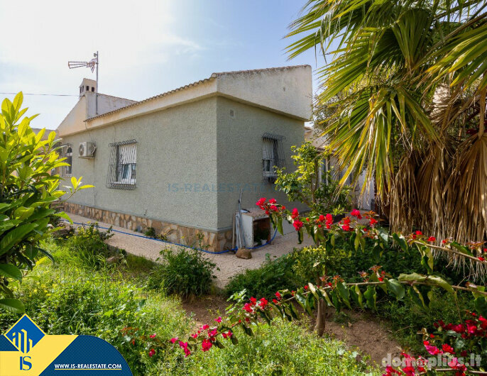 Дом Испания, Torrevieja