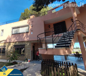 Дом Испания, Torrevieja