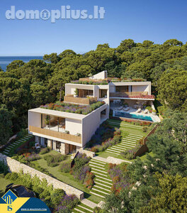 Дом Испания, Ibiza