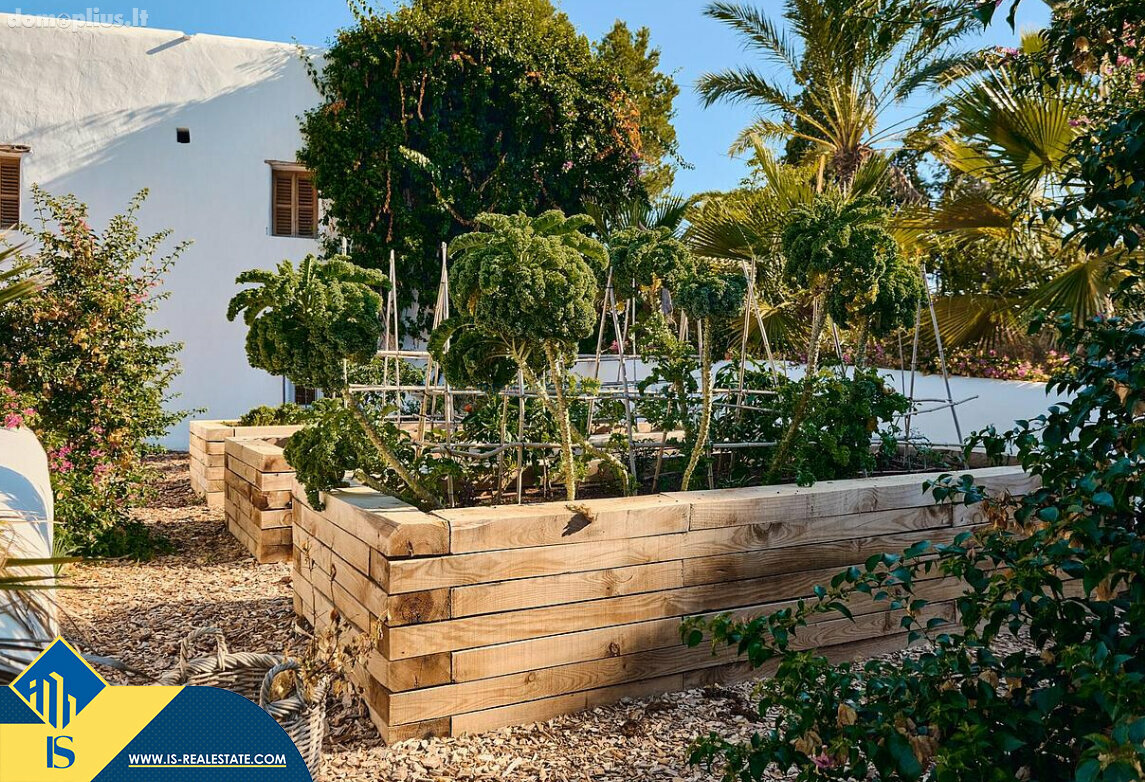 Parduodamas namas Ispanijoje, Ibiza