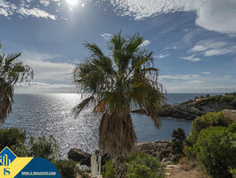 Дом Испания, Ibiza