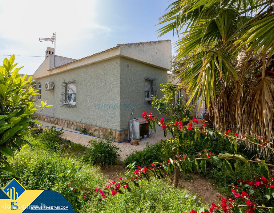 Дом Испания, Torrevieja