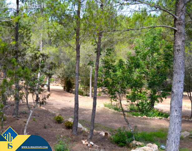 Parduodamas namas Ispanijoje, Ibiza