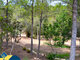 Дом Испания, Ibiza (20 Фотография)