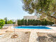 Дом Испания, Torrevieja (17 Фотография)