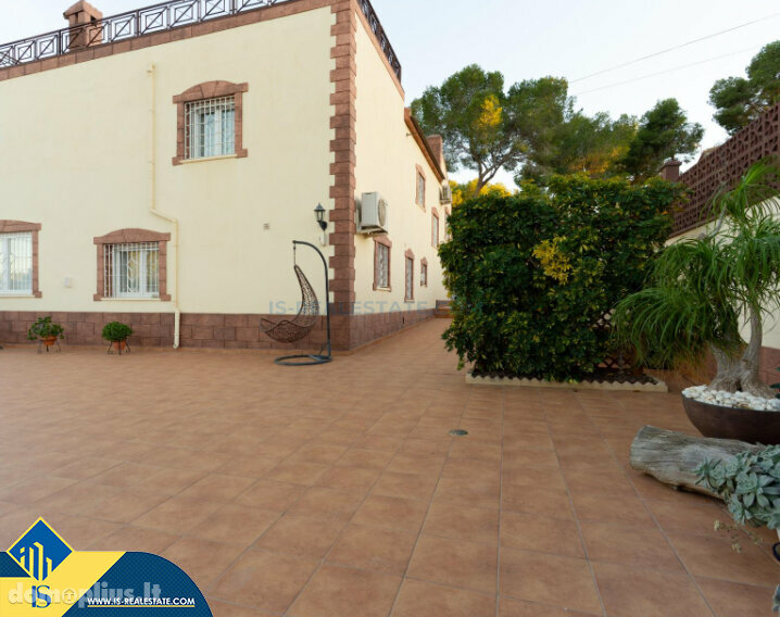 Дом Испания, Torrevieja