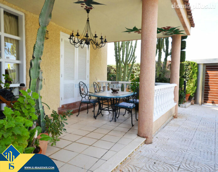 Дом Испания, Torrevieja