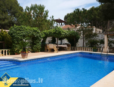 Parduodamas namas Ispanijoje, Torrevieja