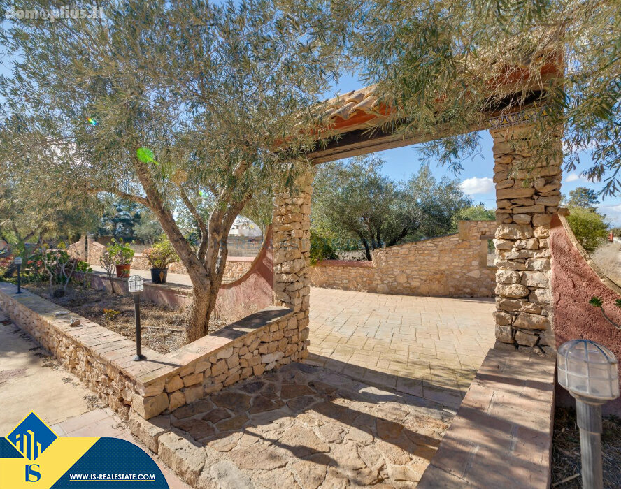 Дом Испания, Torrevieja