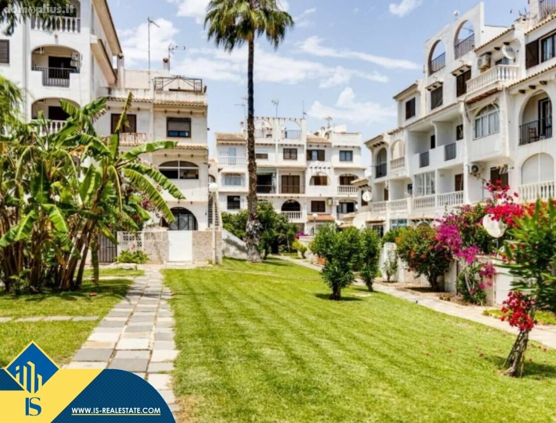 Дом Испания, Torrevieja