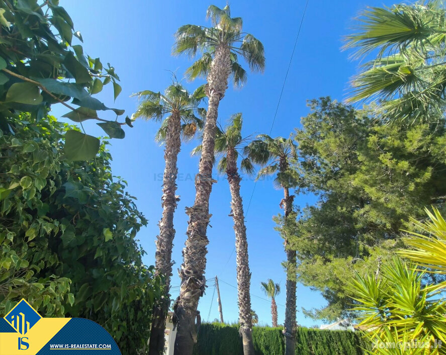 House for sell Spain, Torrevieja
