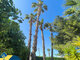 Дом Испания, Torrevieja (5 Фотография)