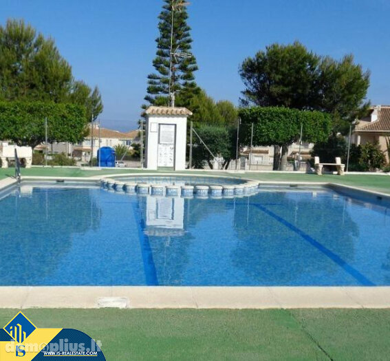 Дом Испания, Torrevieja