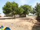 House for sell Spain, Torrevieja (17 picture)