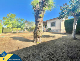 House for sell Spain, Torrevieja