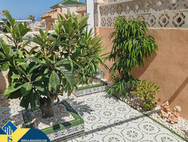 Дом Испания, Torrevieja