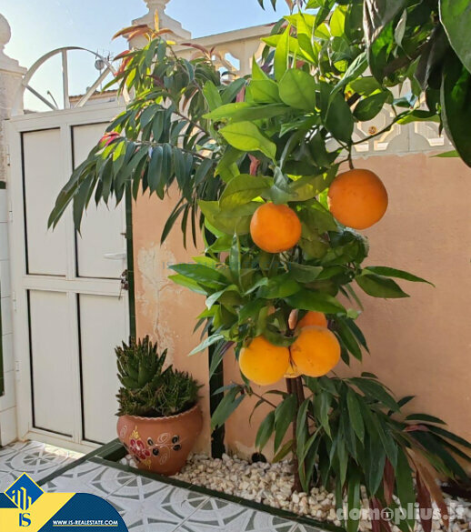 Parduodamas namas Ispanijoje, Torrevieja