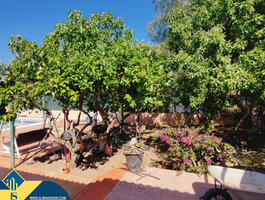 Parduodamas namas Ispanijoje, Torrevieja