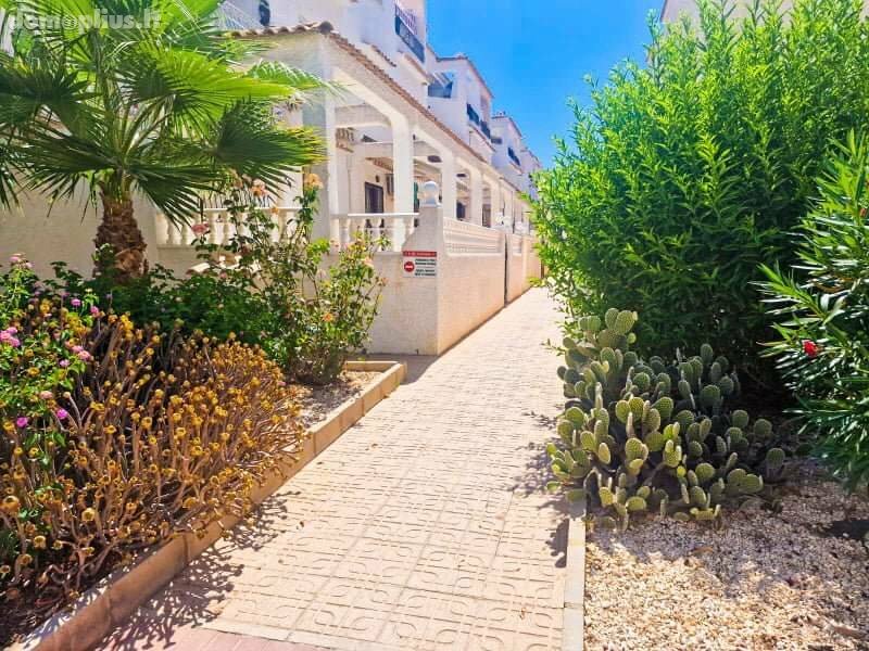 Cottage for rent Spain, Torrevieja