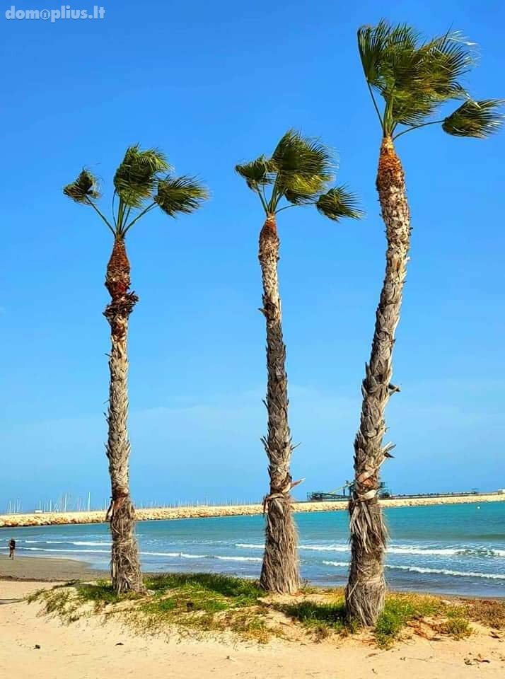 Cottage for rent Spain, Torrevieja