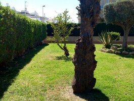 Parduodamas sublokuotas namas Ispanijoje, Torrevieja