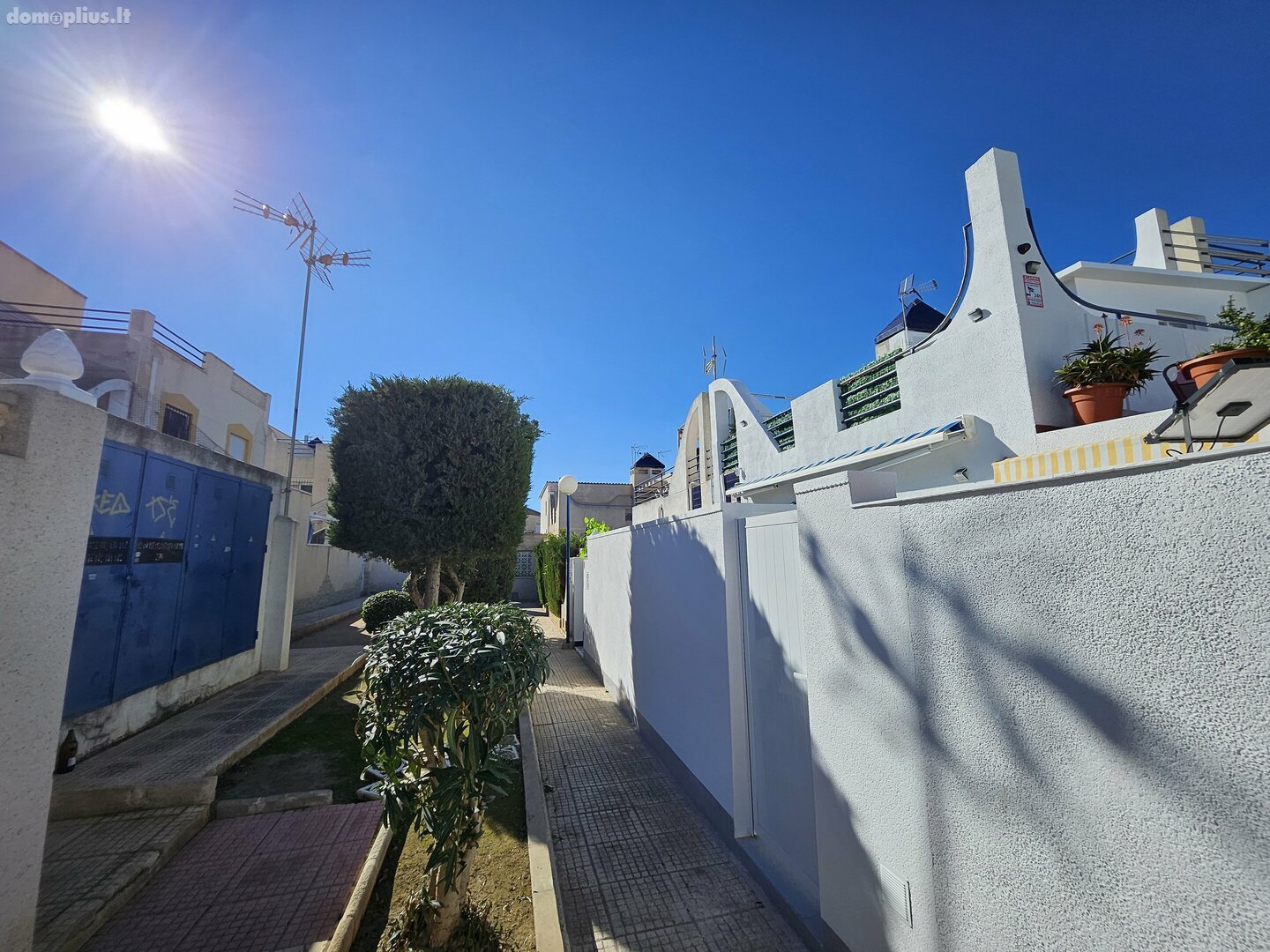 Kotedžo nuoma Ispanijoje, Torrevieja
