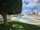 Cottage for rent Spain, Torrevieja (17 picture)