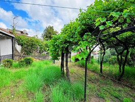 Parduodamas sublokuotas namas Italijoje, Cirella