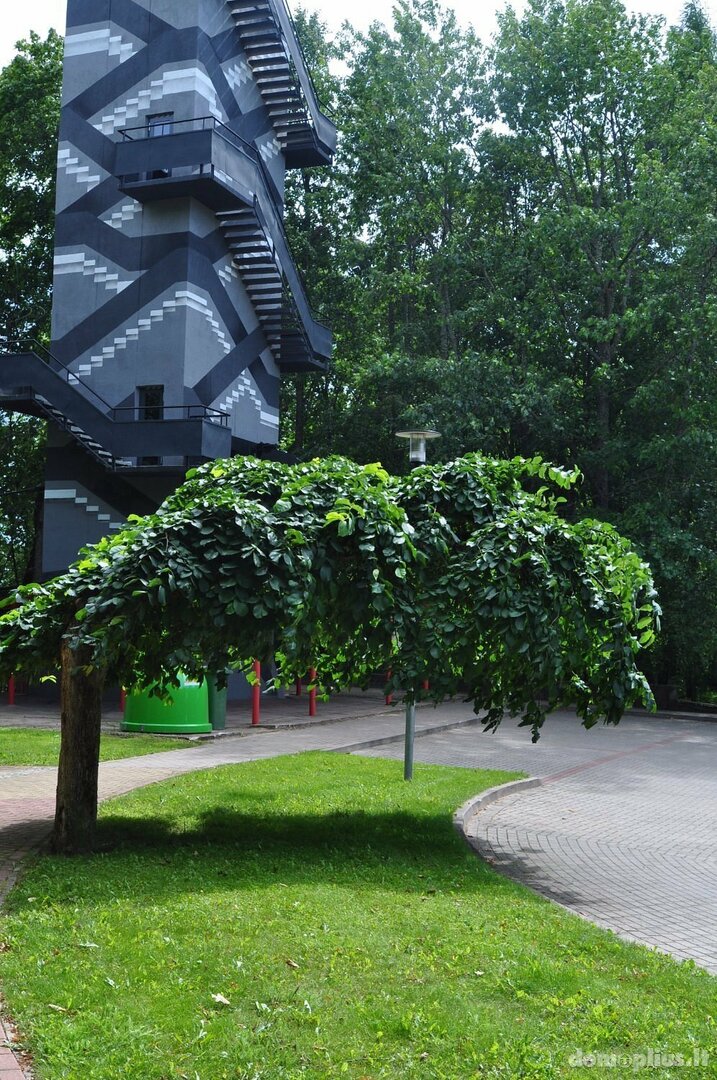Parduodamos Turizmo ir rekreacijos / Prekybos ir paslaugų patalpos Latvijoje, Kita